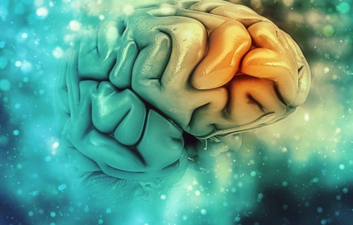 Novo Nordisk ogłasza wejście doustnego semaglutydu w III fazę rozwoju w terapii Alzheimera