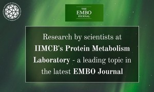 Badania polskich naukowców wiodącym tematem w najnowszym „EMBO Journal”