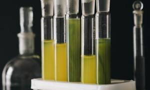 Wykorzystanie płynów w stanie nadkrytycznym do ekstrakcji składników bioaktywnych z roślin