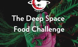 Finaliści konkursu NASA Deep Space Food Challenge – ostatnie starcie