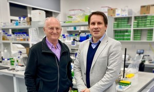 Polacy będą rozwijali badania nad chorobą Parkinsona