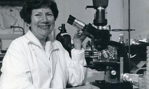 Badaczki znane i nieznane. Evelyn Witkin – odkrywczyni mechanizmu chroniącego DNA bakterii 