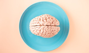 Rozmiar mózgu ma znaczenie. Jak wielkość mózgu wpływa na funkcje poznawcze?