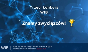 Trzeci konkurs Wirtualnego Instytutu Badawczego rozstrzygnięty – blisko 119 mln zł otrzymaj