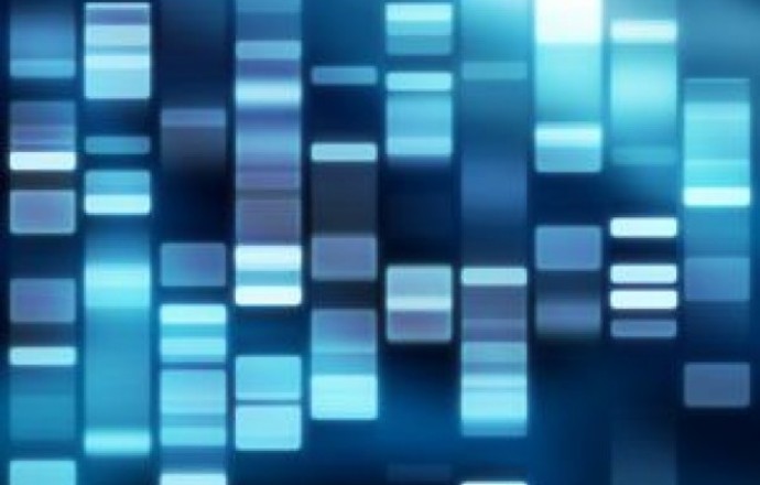 Metody identyfikacji zrekombinowanych genów 