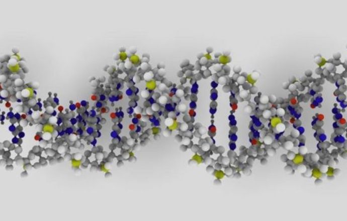 Odkryto nowe funkcje niekodującego DNA! 