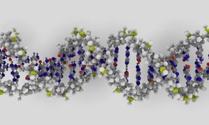Odkryto nowe funkcje niekodującego DNA! 