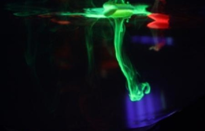 Białko zielonej fluorescencji – nieocenione narzędzie  w biologii molekularnej