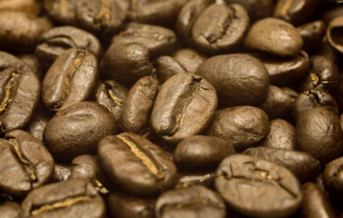 Fusy z kawy mogą stać się nowym źródłem biopaliw