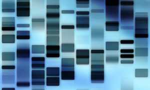 Jak powstaje wzorzec masy DNA?