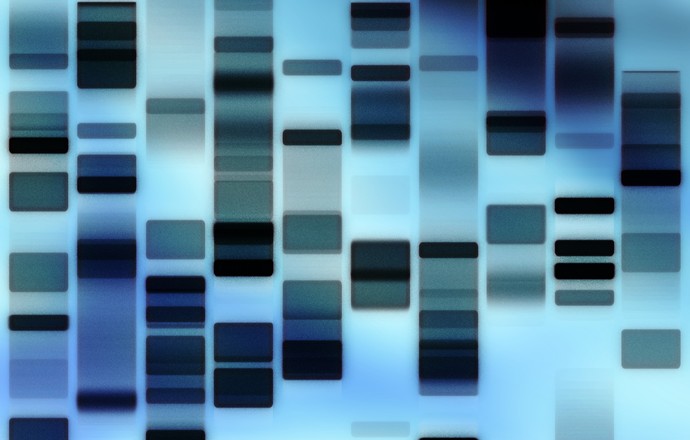 Jak powstaje wzorzec masy DNA?