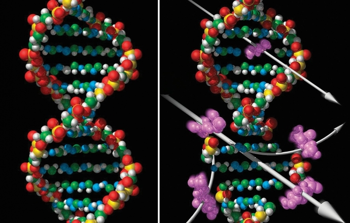 Czy DNA można opatentować?