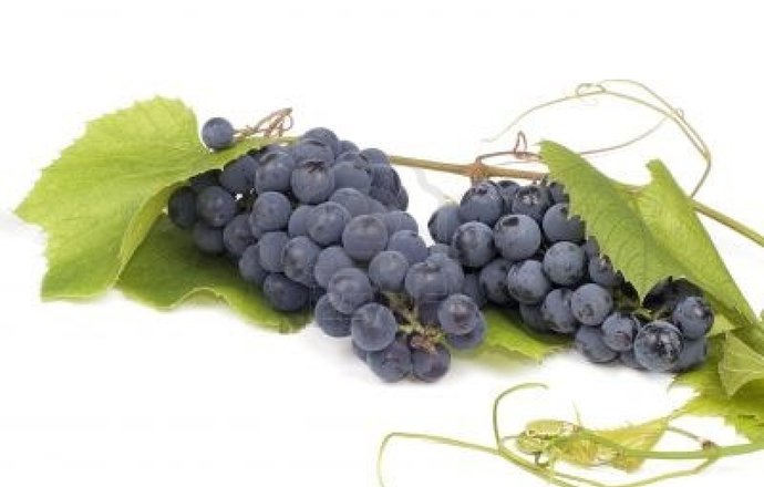 Winogrona jako źródło właściwości przeciwzapalnych