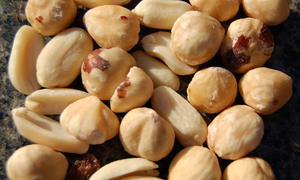 Nowe nadzieje dla osób z alergią na orzechy arachidowe — koniec z unikaniem potraw?