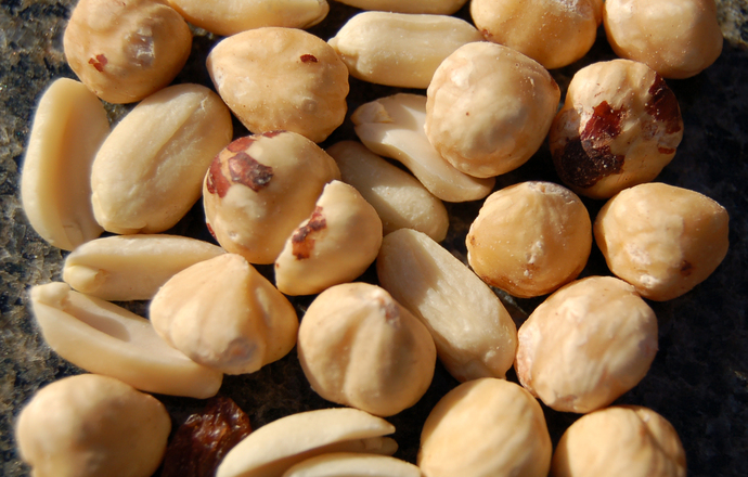 Nowe nadzieje dla osób z alergią na orzechy arachidowe — koniec z unikaniem potraw?