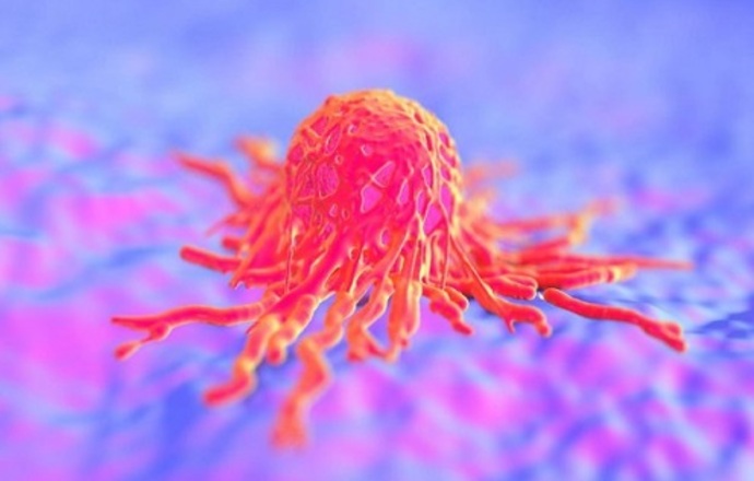 Jak zmusić układ immunologiczny do walki z rakiem?