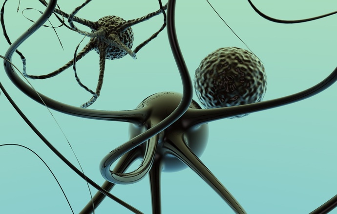 Regeneracja nerwów – od niższych kręgowców do ludzi?