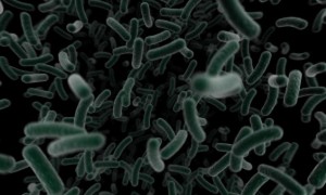 Pyridomycyna – naturalny antybiotyk w leczeniu gruźlicy