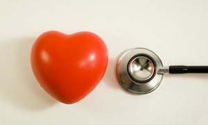 Odkryto hormon mający wpływ na rozwój serca