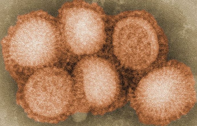 Wirusy grypy oporne na Tamiflu – jak to możliwe?
