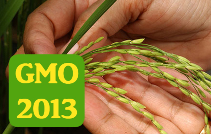 Podsumowanie GMO w 2013 i komentarz GMObiektywny dr. Wojciecha Zalewskiego