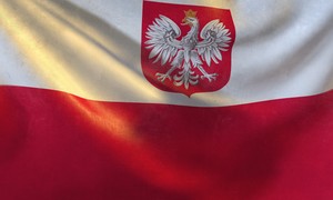 Rządowe in vitro. VLOG bioetyczny nr 6