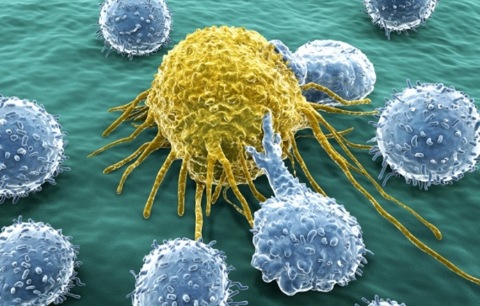 Rak = nowotwór, ale nowotwór ≠ rak, czyli podział nowotworów i przebieg procesu nowotworzen