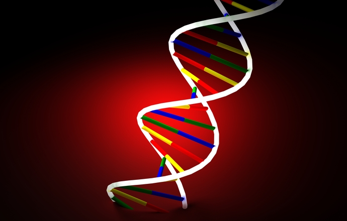 Poznano nowy model naprawy DNA!