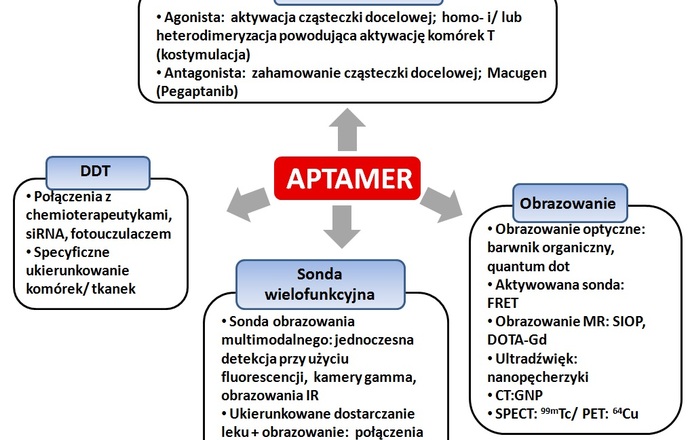 Aptamery – narzędzie o potężnym potencjale biotechnologicznym cz. II