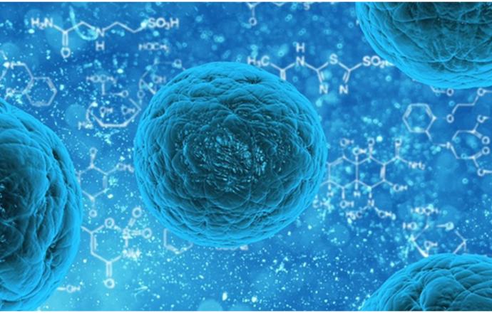 "białaczkowe" komórki macierzyste szpiku 