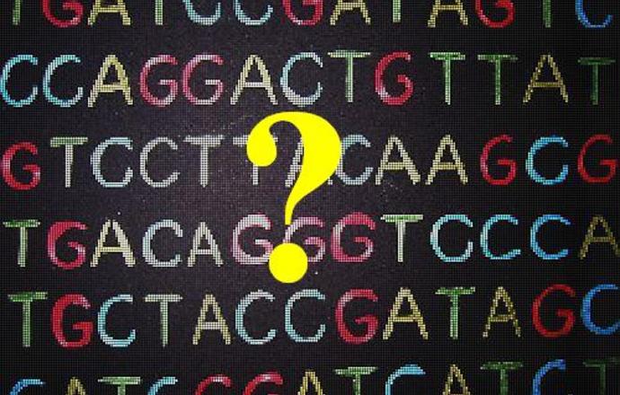 Nowy „alfabet” DNA – czy podstawy genetyki legną w gruzach?