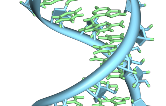 Sekwencjonowanie RNA bezpośrednio w komórce!