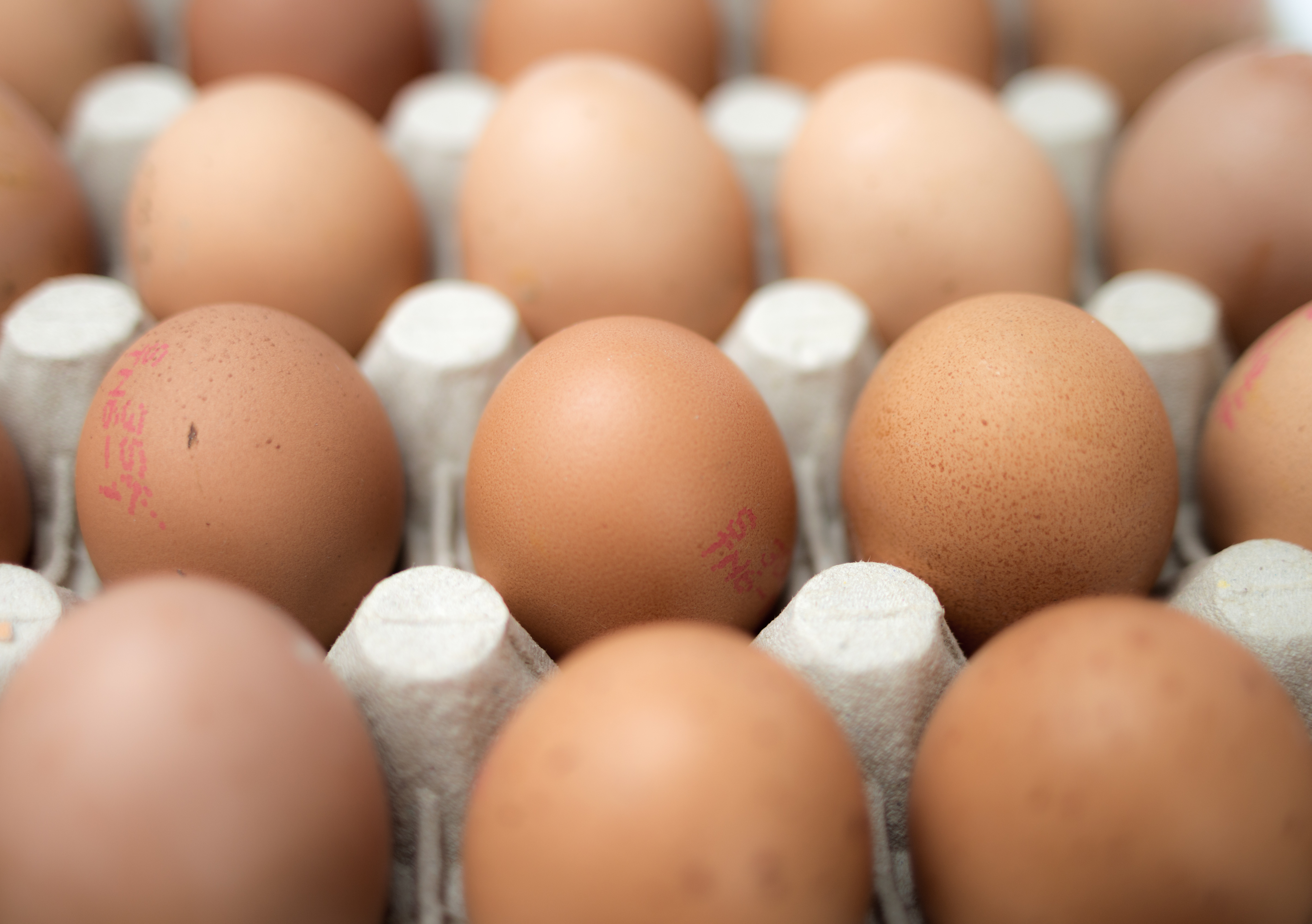 Sposób na zdrowe jaja i kurze mięso