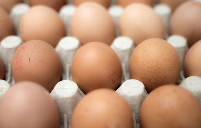 Sposób na zdrowe jaja i kurze mięso
