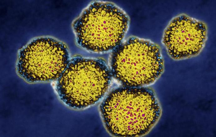 Wirus HCV zwiększa ryzyko raka… nie tylko wątroby