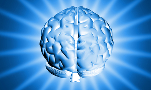Mózg pod lupą! Kwasy omega-3 wspomogą walkę z Alzheimerem?