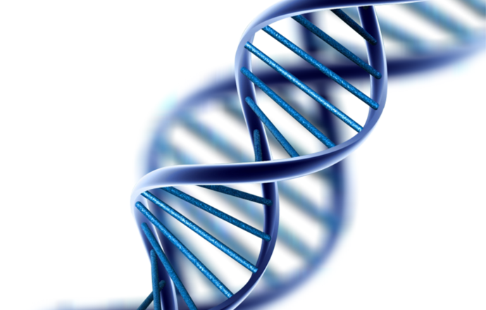 DNA wciąż na topie – przyznano Nobla z chemii 