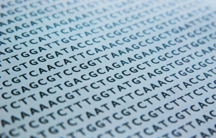 Tajemniczy „Pan genom”