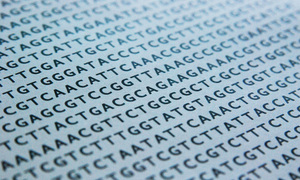 Tajemniczy „Pan genom”