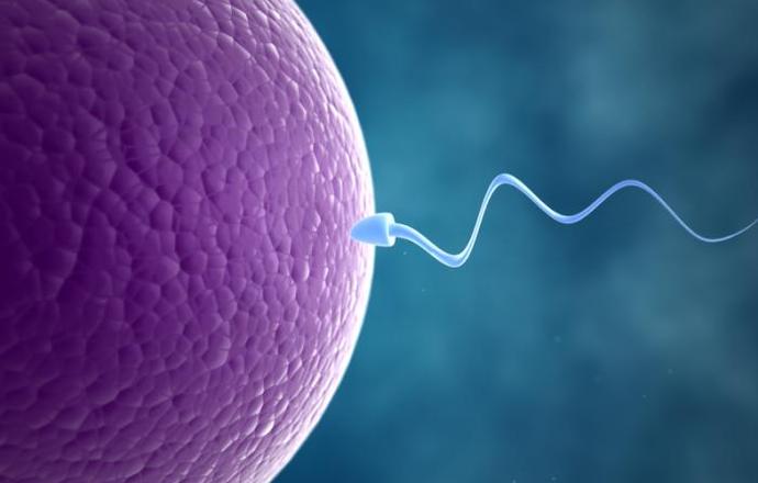 ,,Wazektomia’’ w żelu, czyli nowy sposób antykoncepcji dla mężczyzn  