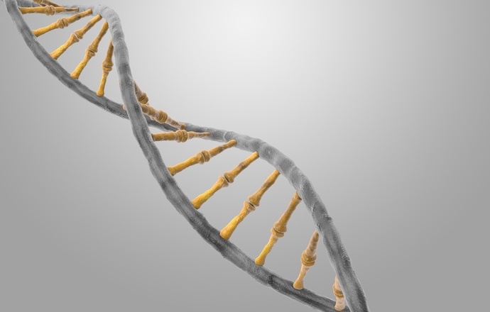 Human Genome Project – Write. Sztuczny genom