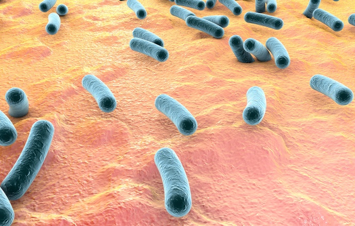 Mikrobiom człowieka – makro wpływ na jego organizm
