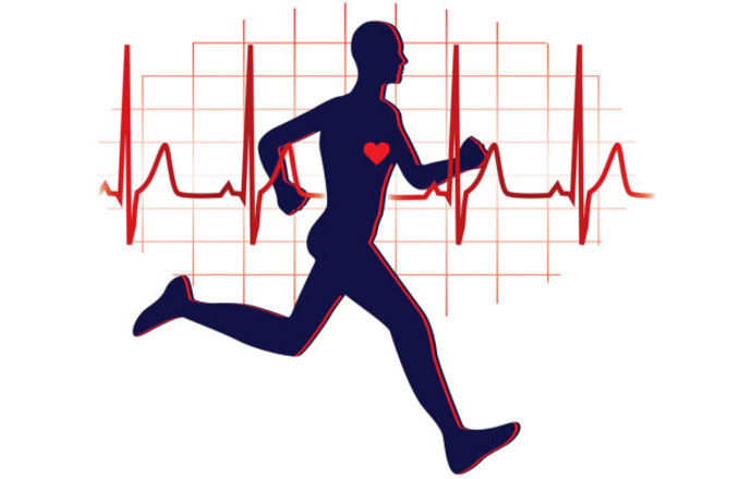 Aktywność fizyczna a geny część II – układ sercowo-naczyniowy