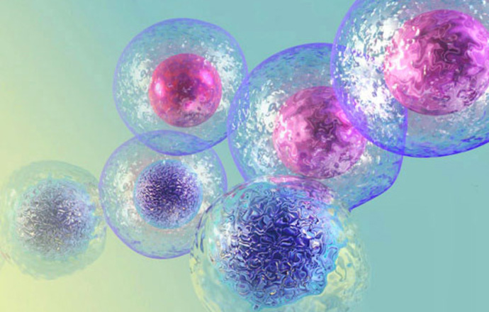 Zastosowanie pluripotencjalnych komórek macierzystych w medycynie