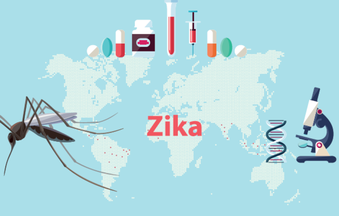 Naukowcy z Polski rozpracowali ważne białko wirusa Zika