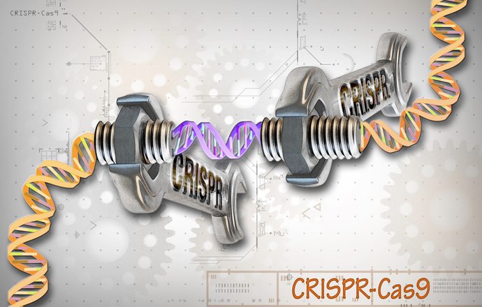 CRISPR - molekularne nożyce do DNA