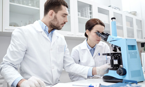 Olsztyn: Naukowcy chcą wykorzystywać komórki pochodzenia płodowego