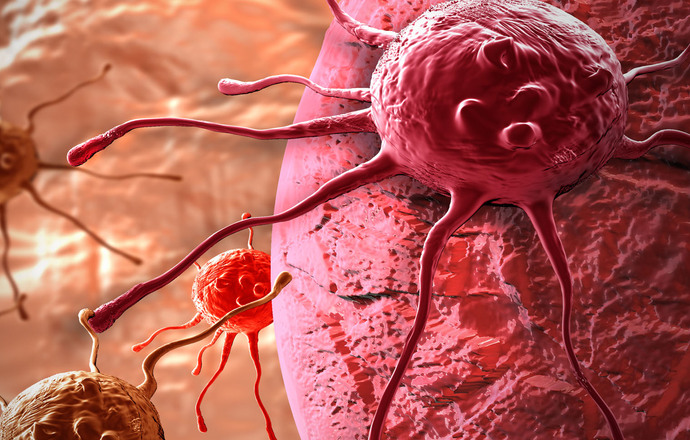 Adoptywny transfer limfocytów T w walce z nowotworami