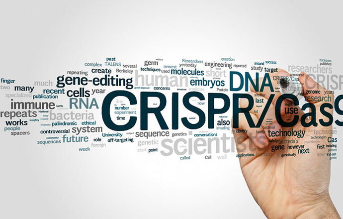 CRISPR zamiast antybiotyków?