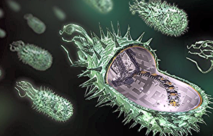 Syntetyczne bakterie pozwolą lepiej zrozumieć mechanizm działania antybiotyków